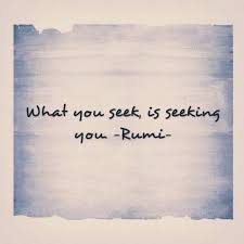 what you seek ...